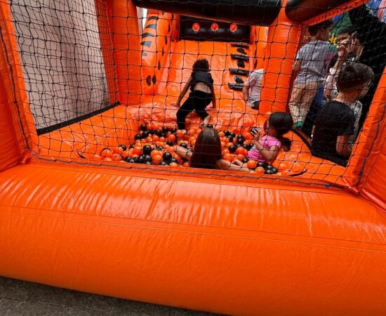 WhatsApp Image 2026-01-01 at 18.04.21 (1)